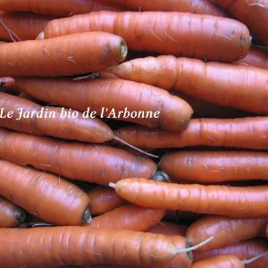 Carotte (vrac)