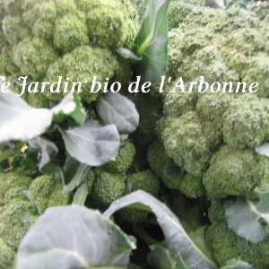 Chou brocoli