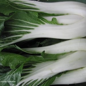 Chou Chinois (pak choï)