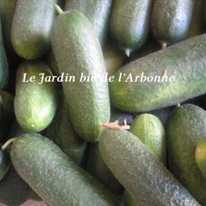 Cornichons (gros)