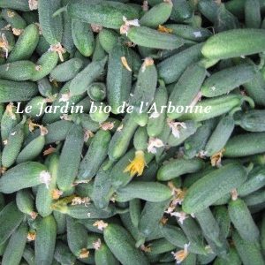 Cornichons