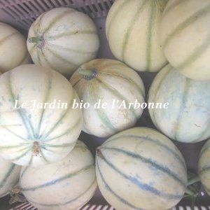 Melon
