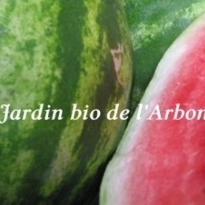 Pastèque