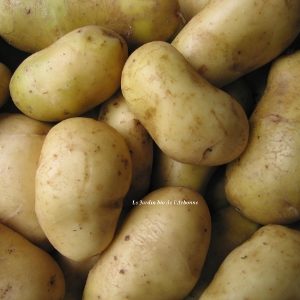 Pomme de terre chair ferme