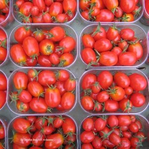 Tomate cerise