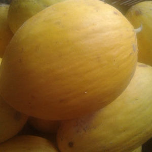 Melon jaune