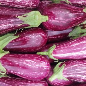 Aubergine striée